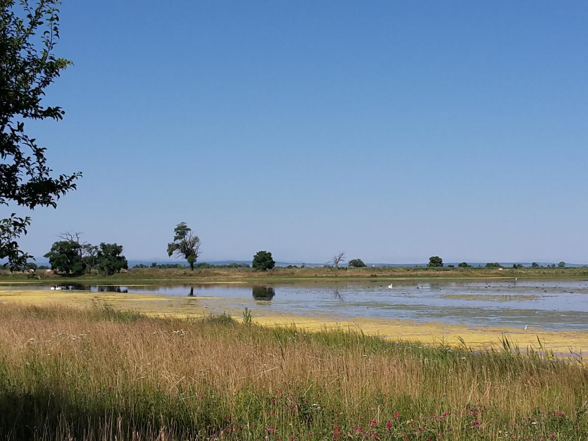 Gaestehaus Ringbauer Podersdorf am See Buitenkant foto